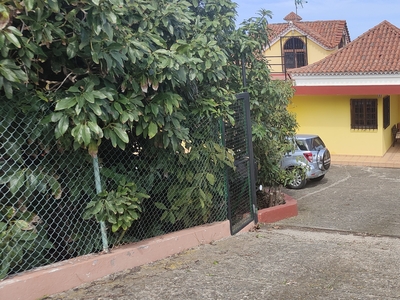 Estupendo chalet con plantación de aguacates Venta Firgas