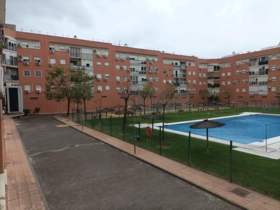 Alquiler de piso con piscina y terraza en Montequinto (Dos Hermanas), Cerros de Montequinto