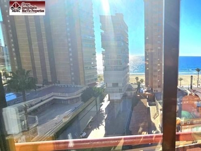 Apartamento en Benidorm