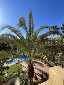 Ático en venta en Atalaya-Isdabe, Estepona, Málaga