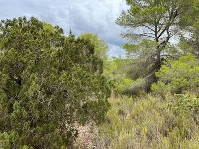 Terreno/Finca Rústica en venta en Cala Tarida, San Jose / Sant Josep de Sa Talaia, Ibiza