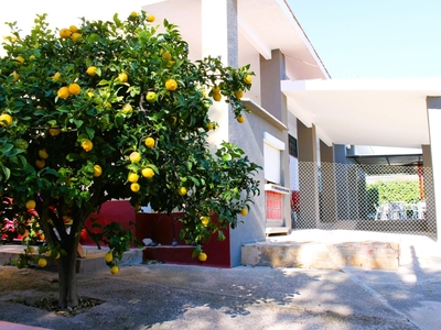 Casa 7 habitaciones de 155 m² en La Bisbal del Penedès (43717)