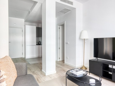 Apartamento de 1 dormitorio en alquiler en Trafalgar, Madrid