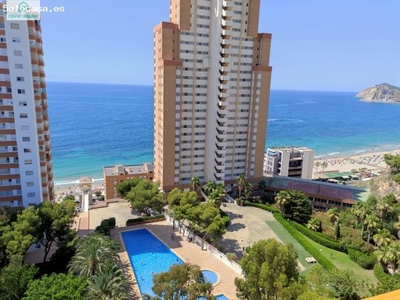 Piso en Benidorm en alquiler