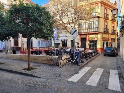 SEVILLA. CENTRO. PISO DE 3 DORMITORIOS