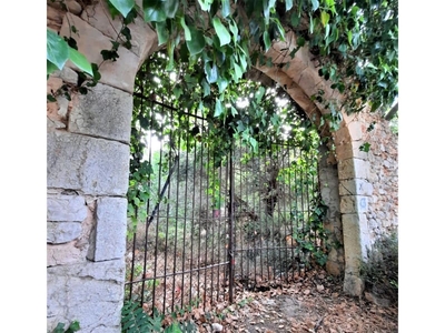 Finca/Casa Rural en venta en Binissalem, Mallorca