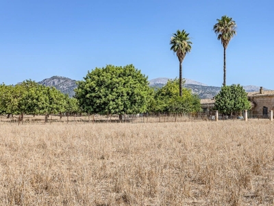 Finca/Casa Rural en venta en Campanet, Mallorca