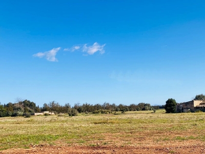 Solar/Parcela en venta en Llubí, Mallorca