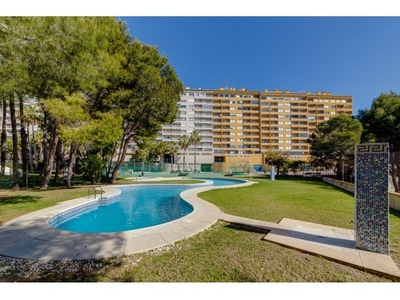 APARTAMENTO EN DEHESA DE CAMPOAMOR