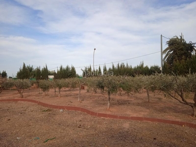 Casa finca rustica en los roses de la aljorra en Cartagena