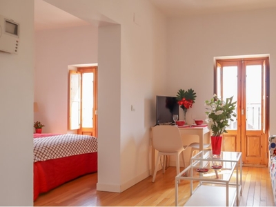 Apartamento de 1 dormitorio en alquiler en Puerta del Ángel, Madrid