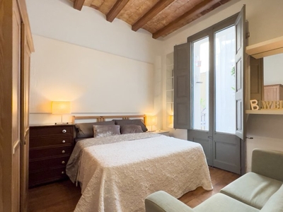 Apartamento de 2 dormitorios en alquiler en El Raval, Barcelona