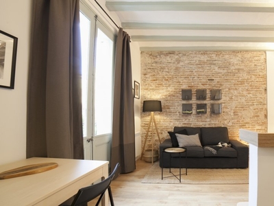Apartamento de 2 dormitorios en alquiler en El Raval, Barcelona