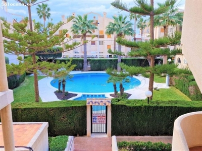 1 BEDROOM APARTMENT IN LOS FRUTALES , TORREVIEJA