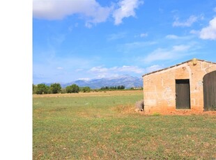 Finca rústica con caseta de campo y magnificas vistas a la Serra de Tramuntana en Llubi