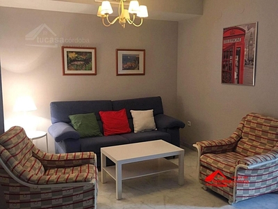 Alquiler de piso en Huerta de la Reina - Trassierra de 1 habitación con muebles y aire acondicionado