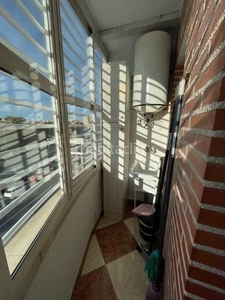Alquiler piso ¡excelente, piso dos dormitorios todo exterior! en Murcia