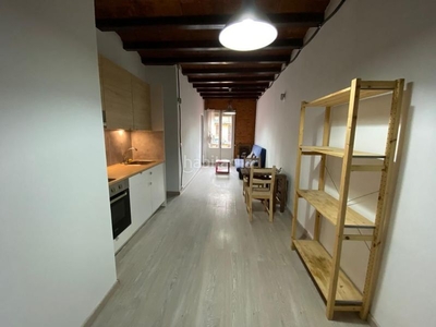Alquiler piso excelente piso frente a montjuic, gastos de servicios incluidos en Barcelona