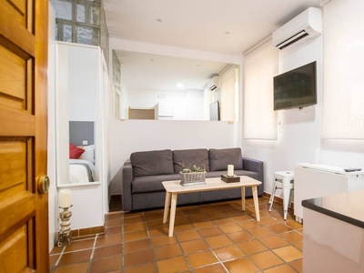 Apartamento de 1 dormitorio en alquiler en Centro, Madrid