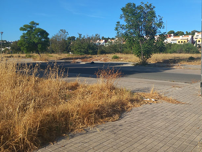 Parcela en Calle RUMAIQUILLA, Camas