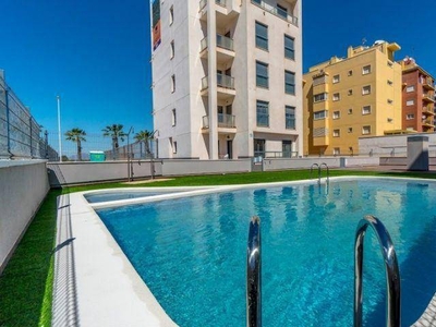 Venta Piso Guardamar del Segura. Piso de dos habitaciones en Avenida del Puerto 32. Con terraza