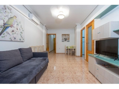 ALQ 7236 Apartamento de 2 dormitorios en Torrevieja