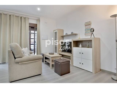 Apartamento en alquiler en El Naranjo