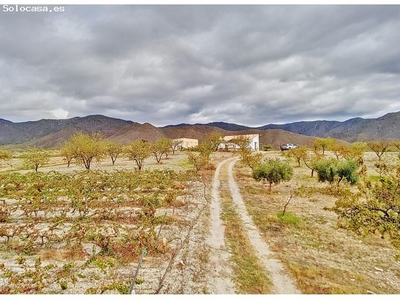 Oportunidad Única: Finca con Terreno Extenso y Cortijo en Andalucía