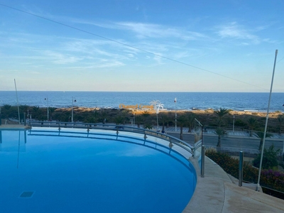 Alquiler de casa con piscina y terraza en Los Arenales del Sol (Elche (Elx)), Arenales del Sol