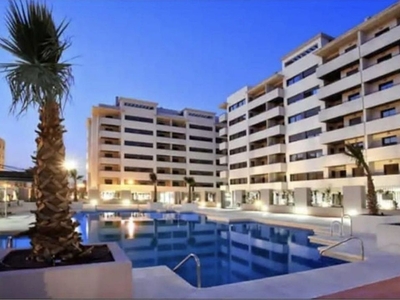 Ático en alquiler en Parque Mediterráneo - Santa Paula de 1 habitación con terraza y piscina