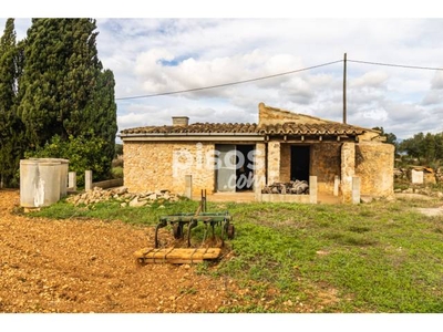 Finca rústica en venta en Biniali (Mallorca)