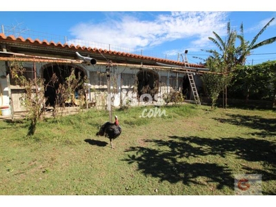 Finca rústica en venta en Celulosa