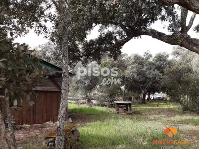 Finca rústica en venta en Cornalvo en Las Vaguadas-Carretera de Valverde por 29.900 €