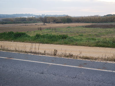 Terreno en venta en lugar Sitio Cañamar - Polígono 6 Parcela 595, Rociana Del Condado, Huelva