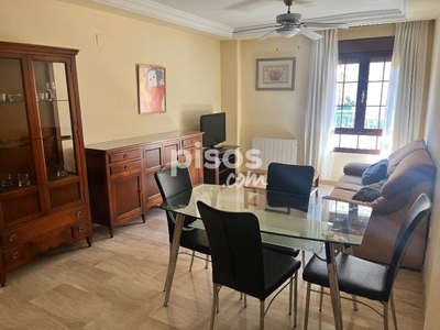 Piso en alquiler en Calle de Muñoz Garnica, 18 en San Ildefonso-Barrio de la Catedral por 550 €/mes