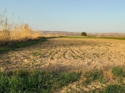 Terreno no urbanizable en venta en la El Espargal' Fuentes de Ebro