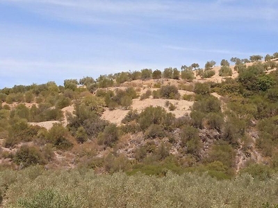 Chalet en Morón de la Frontera