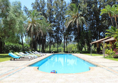 Venta de casa con piscina en Nueva Andalucía (Marbella (Municipio)), ALOHA