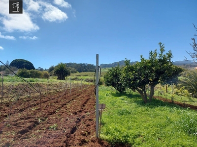 Finca/Casa Rural en venta en Tacoronte, Tenerife