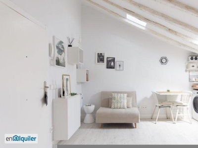 Precioso apartamento estudio con aire acondicionado en alquiler en La Latina.