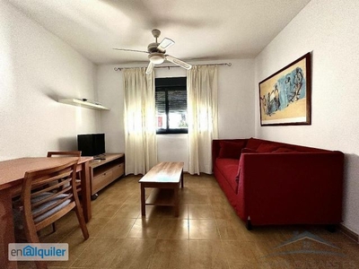 Alquiler de Piso 1 dormitorios, 1 baños, 0 garajes, Buen estado, en Aguadulce, Almería
