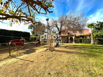 Finca rústica en venta en Calle Guadalobon