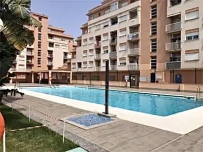 Alquiler de estudio con piscina y terraza en Roquetas de Mar
