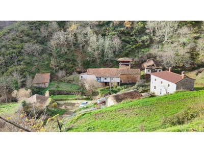 Casa de Pueblo en Venta en El Puerto de Somiedo, Asturias