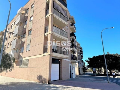 Piso en venta en Avenida Rambla de los Álamos