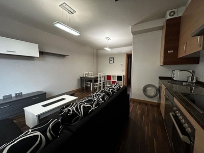 Alquiler de piso en avenida De Portugal de 1 habitación con garaje y muebles
