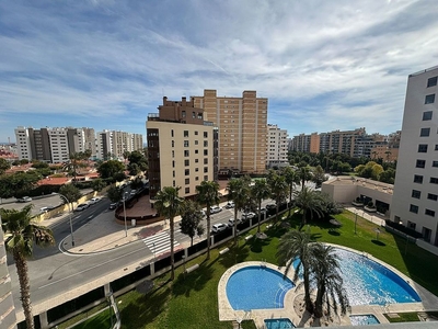 Alquiler de piso en calle Maestro José Garberí Serrano de 2 habitaciones con terraza y piscina