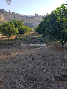 Parcela en venta en Arcos de la Frontera