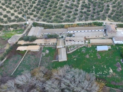 Chalet en Jaén