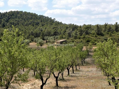 Finca en venta en Calaceite